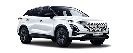 CHERY OMADA 5